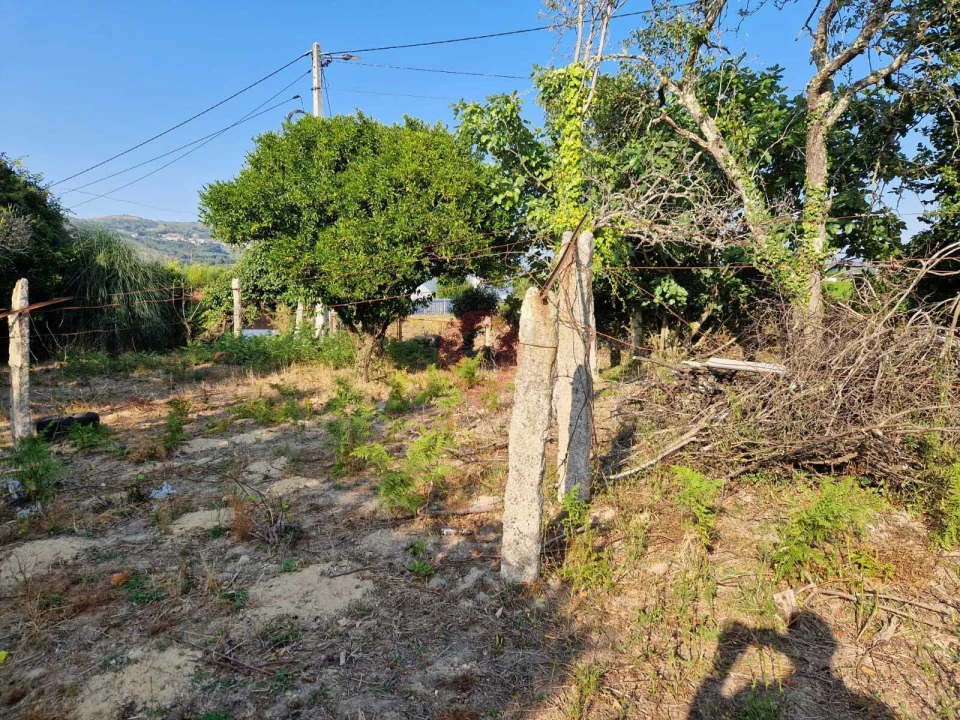 Terreno para Venda em Bela Foto 3
