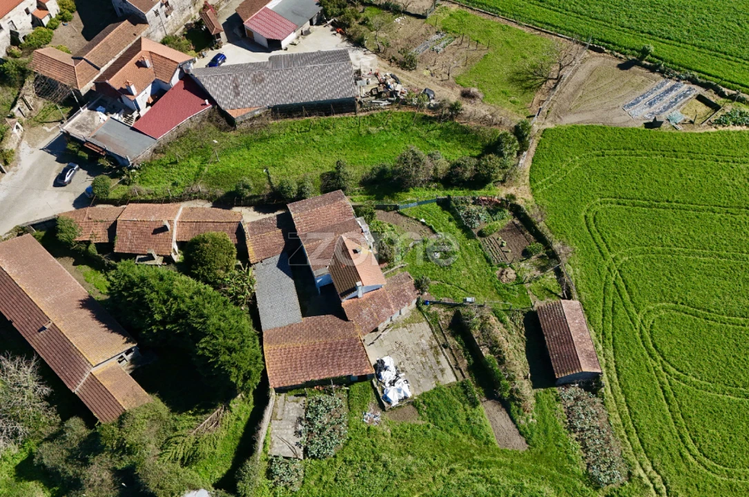 Terreno para Venda em Gondifelos, Cavalões e Outiz Foto 6