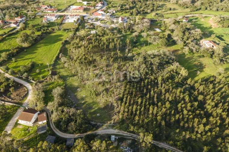 Quinta T13 para Venda em Aljubarrota Foto 55