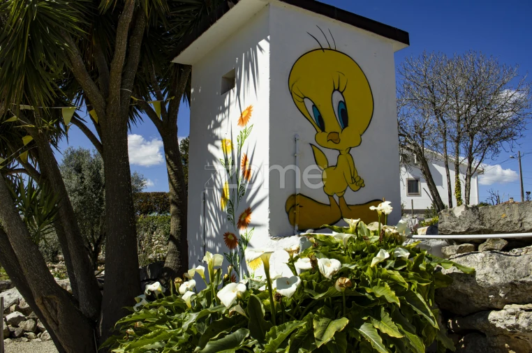 Quinta T13 para Venda em Aljubarrota Foto 58