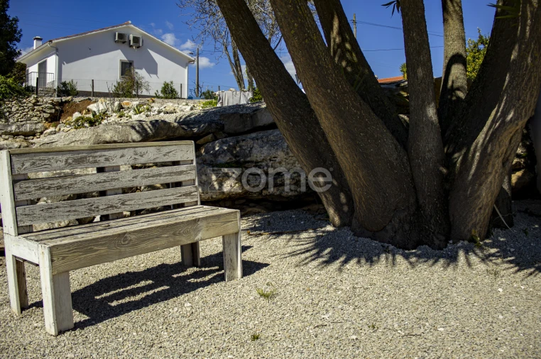 Quinta T13 para Venda em Aljubarrota Foto 69