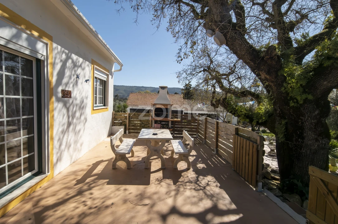 Quinta T13 para Venda em Aljubarrota Foto 6