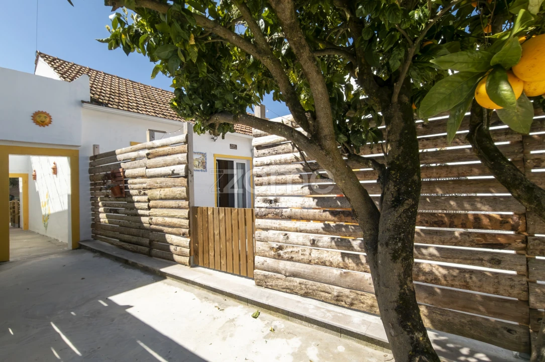 Quinta T13 para Venda em Aljubarrota Foto 23