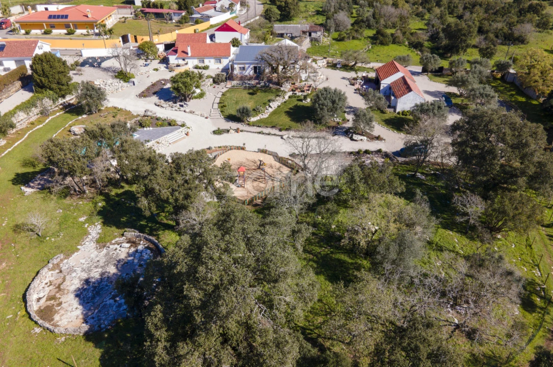 Quinta T13 para Venda em Aljubarrota Foto 54