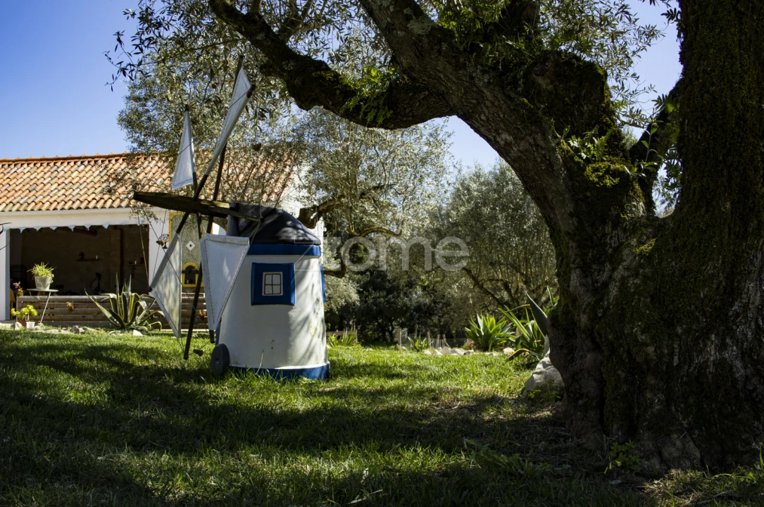 Quinta T13 para Venda em Aljubarrota Foto 56