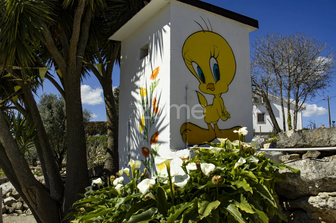 Quinta T13 para Venda em Aljubarrota Foto 58