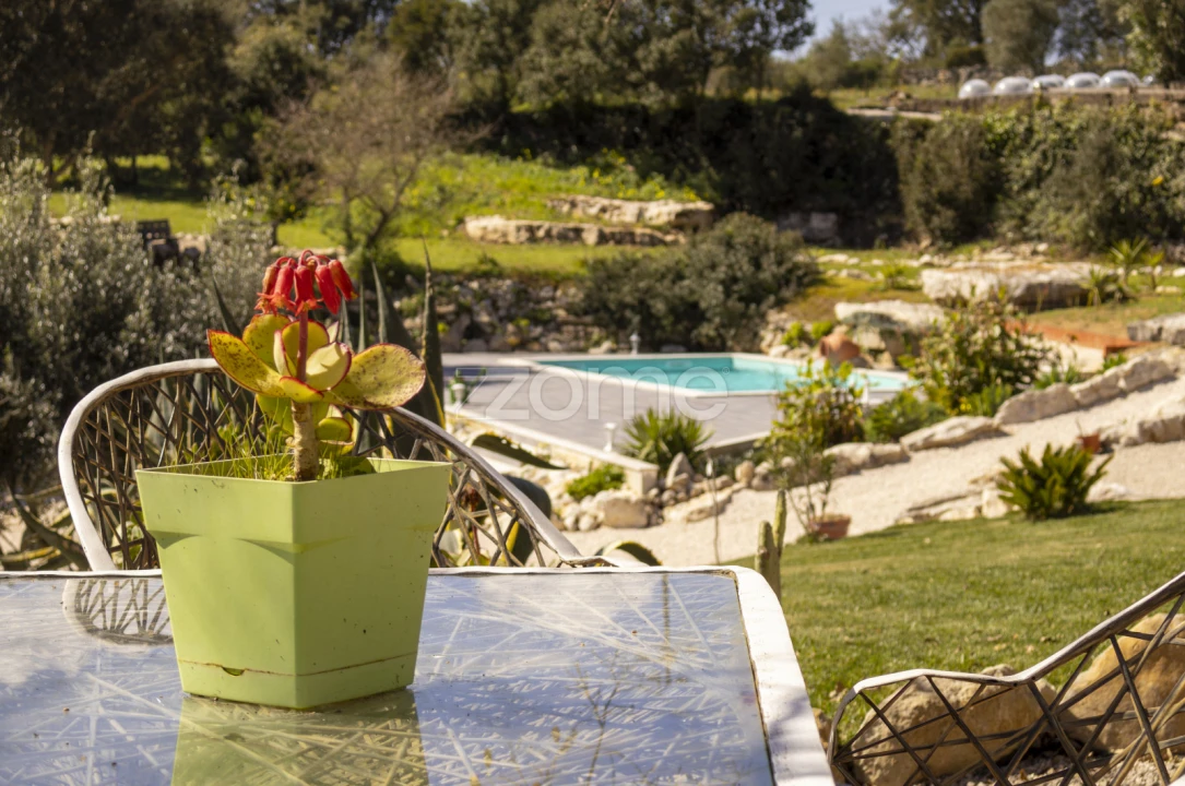 Quinta T13 para Venda em Aljubarrota Foto 72