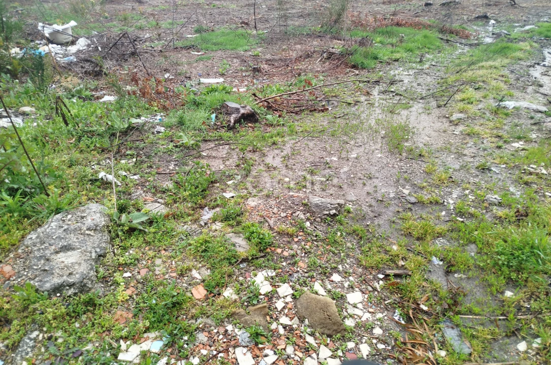 Terreno para Venda em Cunha Baixa Foto 11