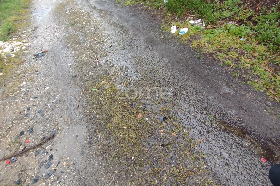 Terreno para Venda em Cunha Baixa Foto 12