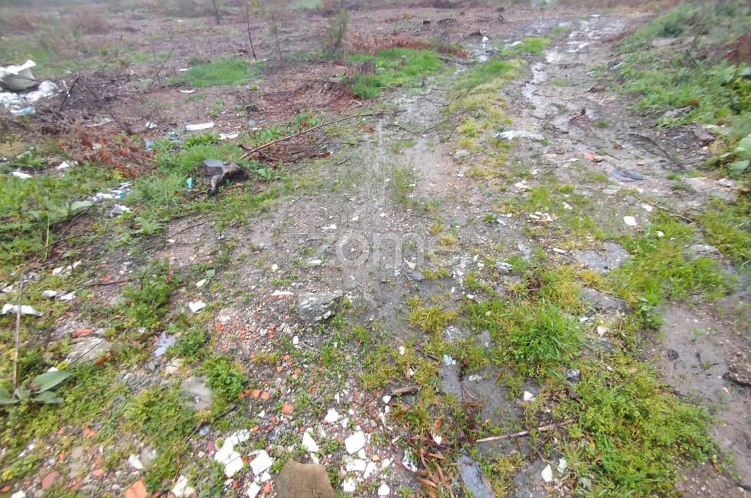 Terreno para Venda em Cunha Baixa Foto 15