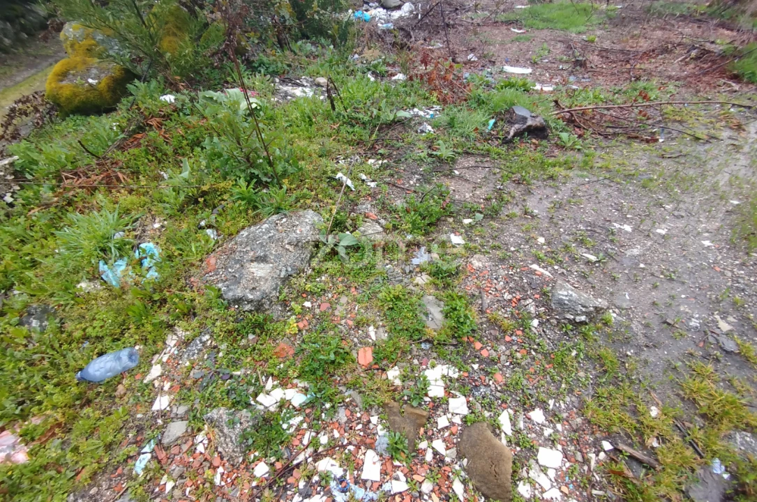 Terreno para Venda em Cunha Baixa Foto 16