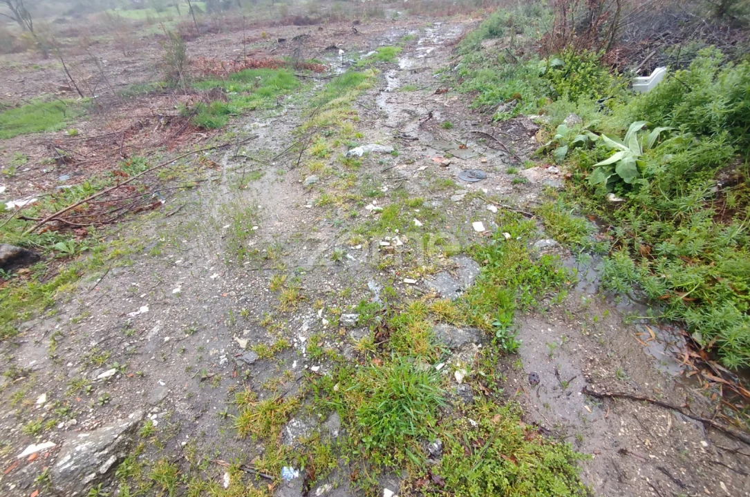 Terreno para Venda em Cunha Baixa Foto 17