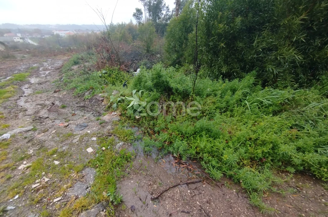 Terreno para Venda em Cunha Baixa Foto 20