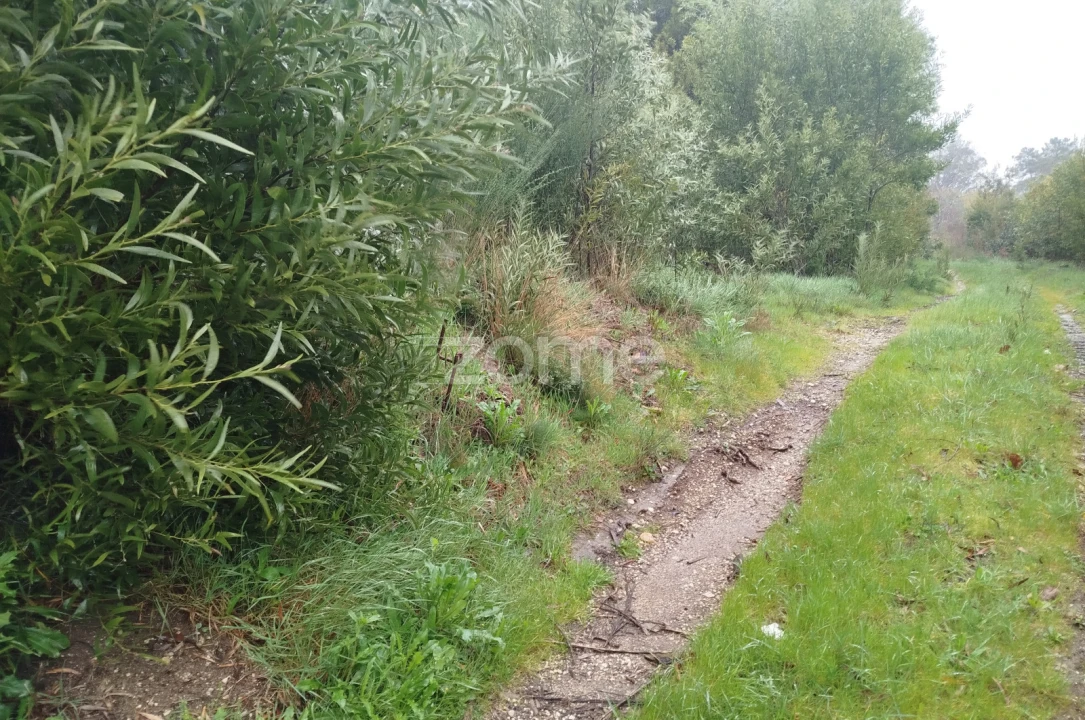 Terreno para Venda em Cunha Baixa Foto 23