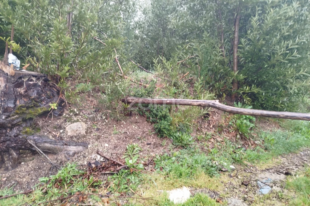 Terreno para Venda em Cunha Baixa Foto 25