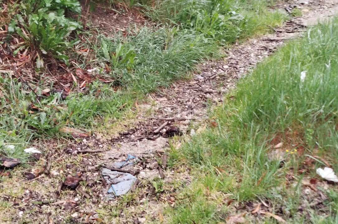 Terreno para Venda em Cunha Baixa Foto 24