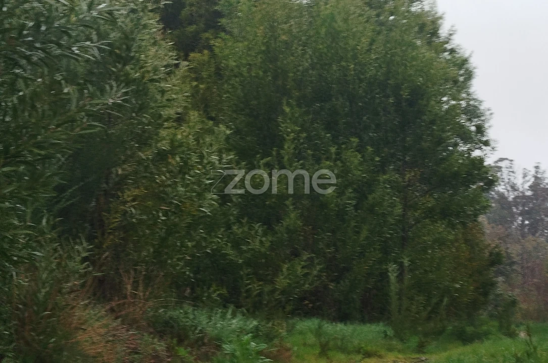 Terreno para Venda em Cunha Baixa Foto 26