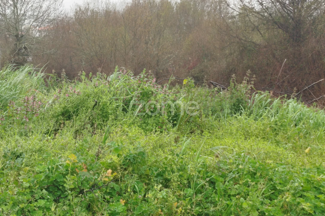 Terreno para Venda em Cunha Baixa Foto 27