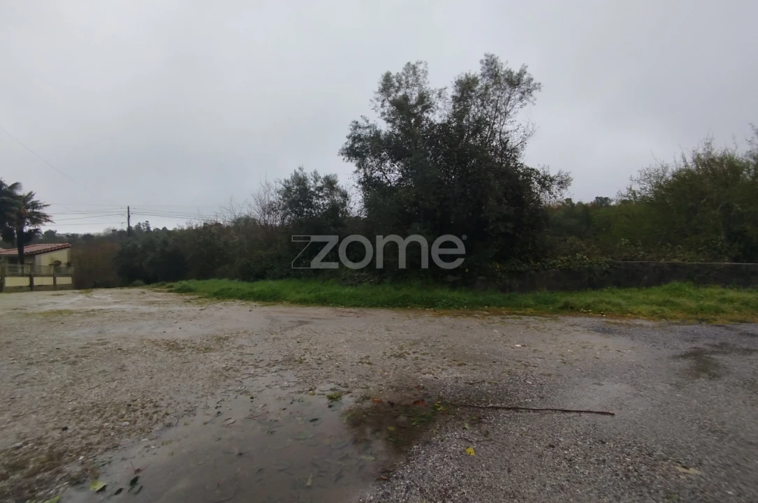 Terreno para Venda em Cunha Baixa Foto 30