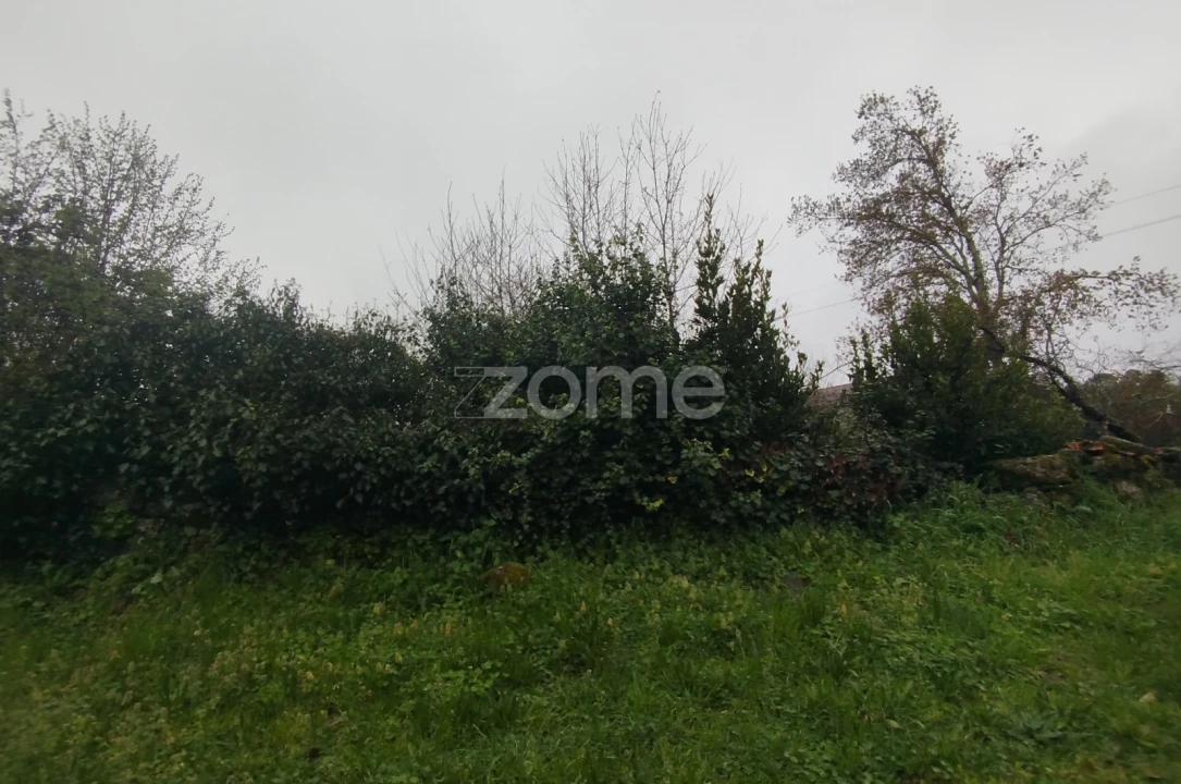 Terreno para Venda em Cunha Baixa Foto 32