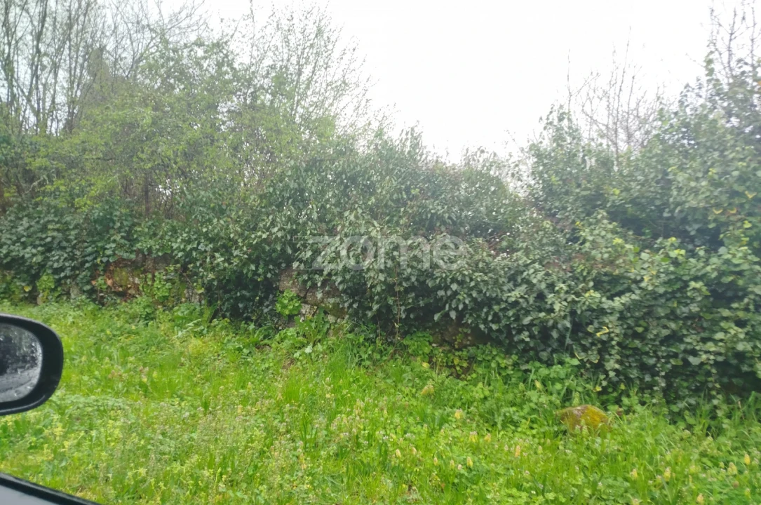 Terreno para Venda em Cunha Baixa Foto 37
