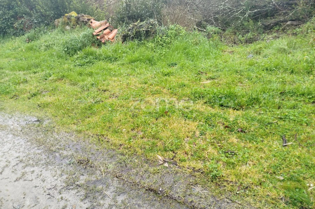 Terreno para Venda em Cunha Baixa Foto 36