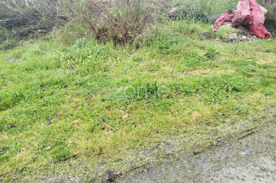 Terreno para Venda em Cunha Baixa Foto 5