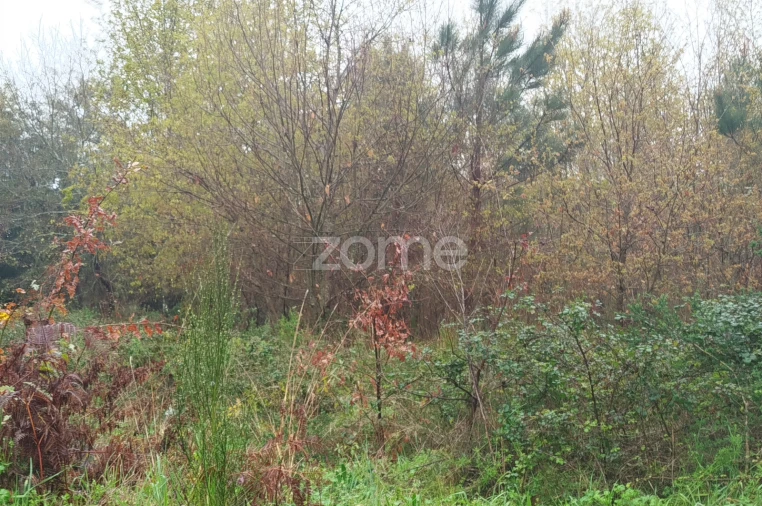 Terreno para Venda em Cunha Baixa Foto 11