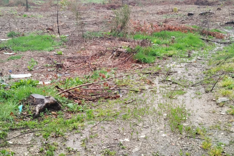 Terreno para Venda em Cunha Baixa Foto 7