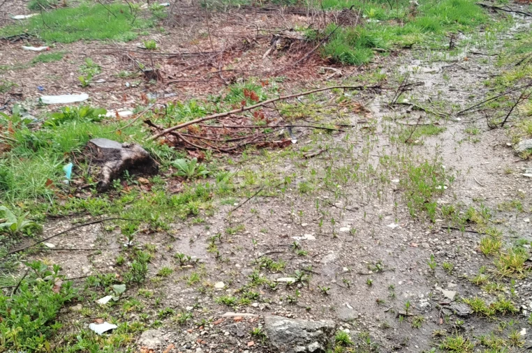 Terreno para Venda em Cunha Baixa Foto 10
