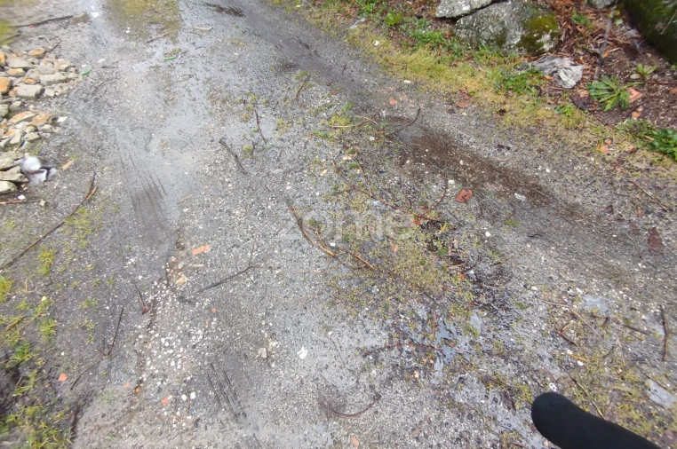 Terreno para Venda em Cunha Baixa Foto 15