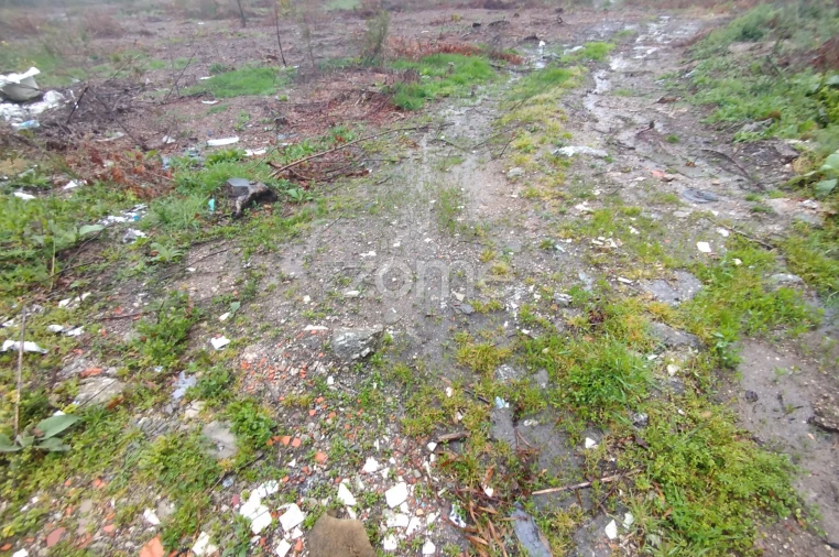 Terreno para Venda em Cunha Baixa Foto 16