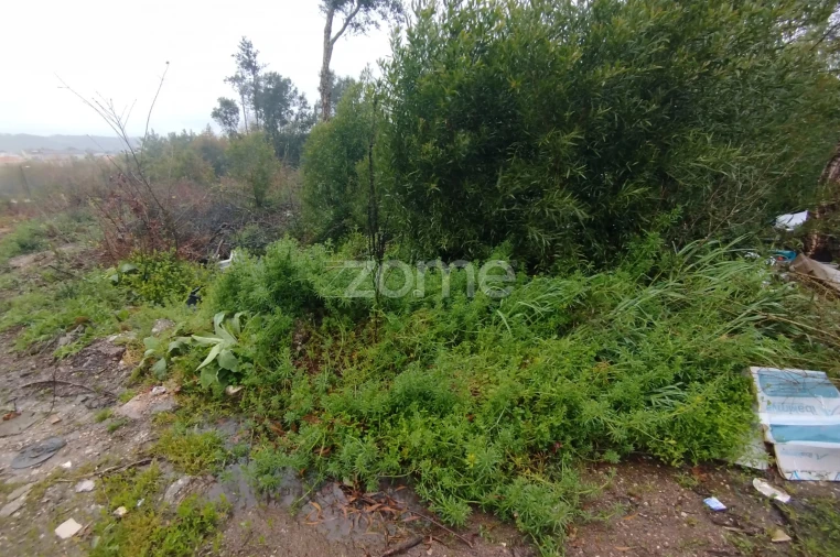 Terreno para Venda em Cunha Baixa Foto 19