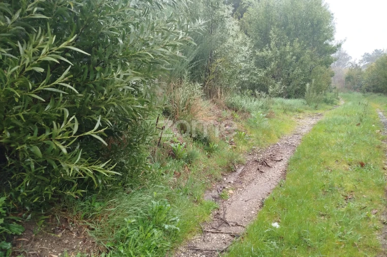 Terreno para Venda em Cunha Baixa Foto 1