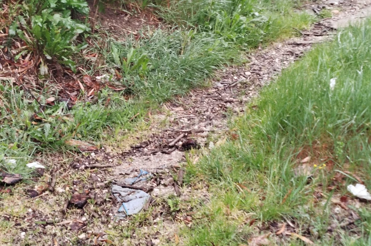 Terreno para Venda em Cunha Baixa Foto 24