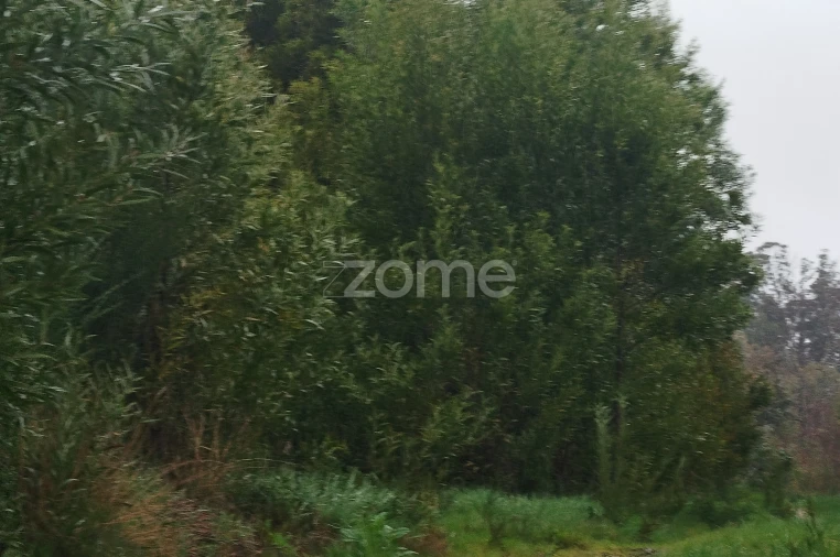 Terreno para Venda em Cunha Baixa Foto 26