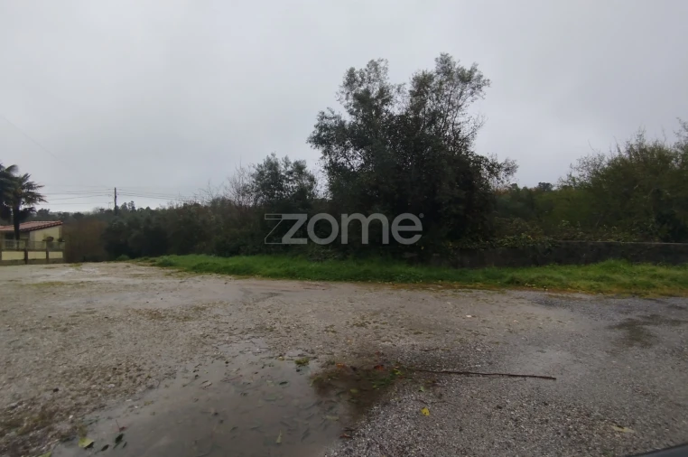 Terreno para Venda em Cunha Baixa Foto 29