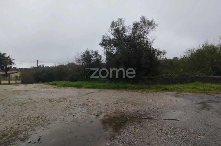 Terreno para Venda em Cunha Baixa Foto 30