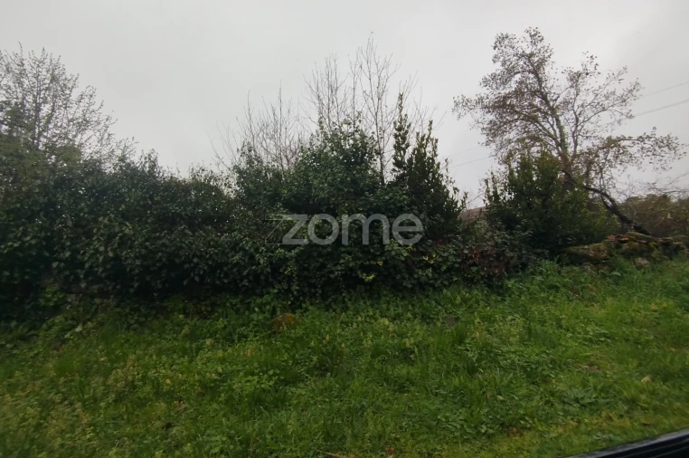 Terreno para Venda em Cunha Baixa Foto 33