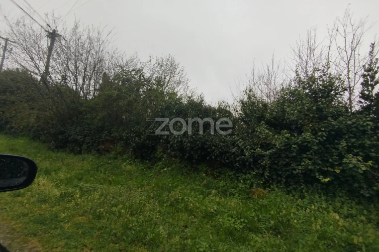 Terreno para Venda em Cunha Baixa Foto 34