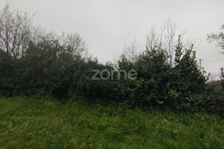 Terreno para Venda em Cunha Baixa Foto 31