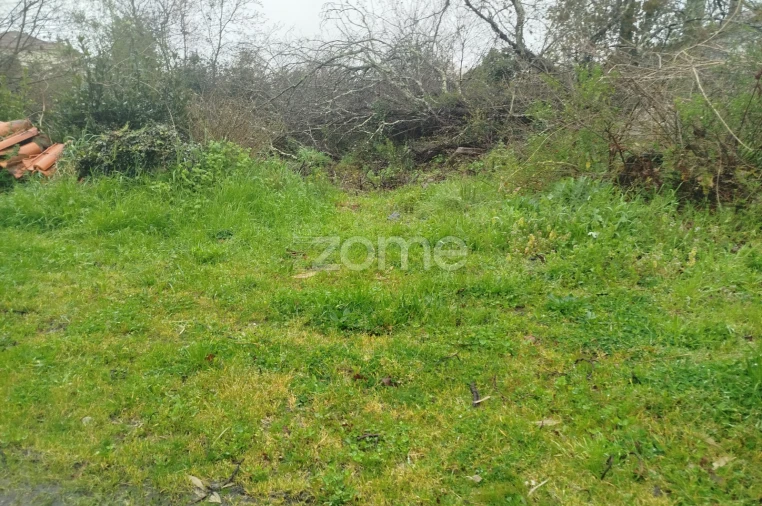 Terreno para Venda em Cunha Baixa Foto 41