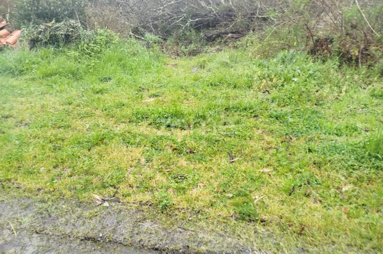 Terreno para Venda em Cunha Baixa Foto 39