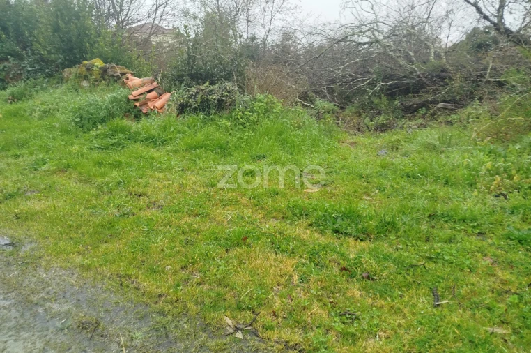 Terreno para Venda em Cunha Baixa Foto 40