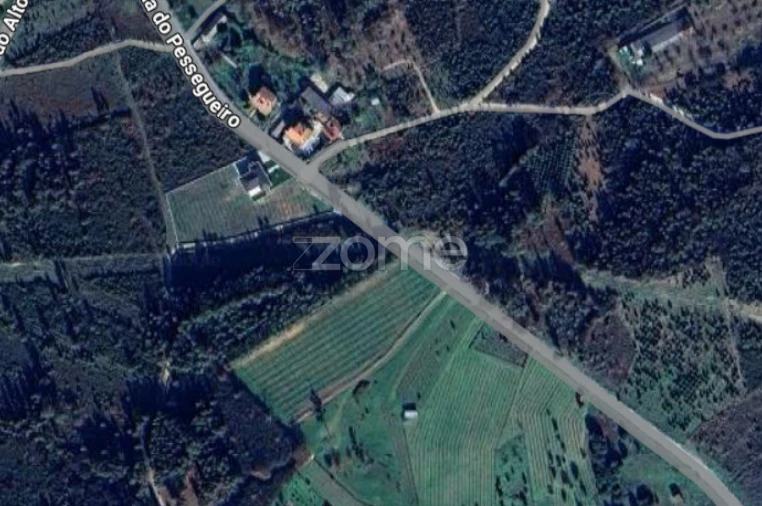 Terreno para Venda em Cunha Baixa Foto 43