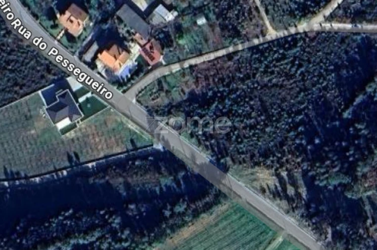 Terreno para Venda em Cunha Baixa Foto 44