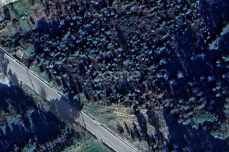 Terreno para Venda em Cunha Baixa Foto 42