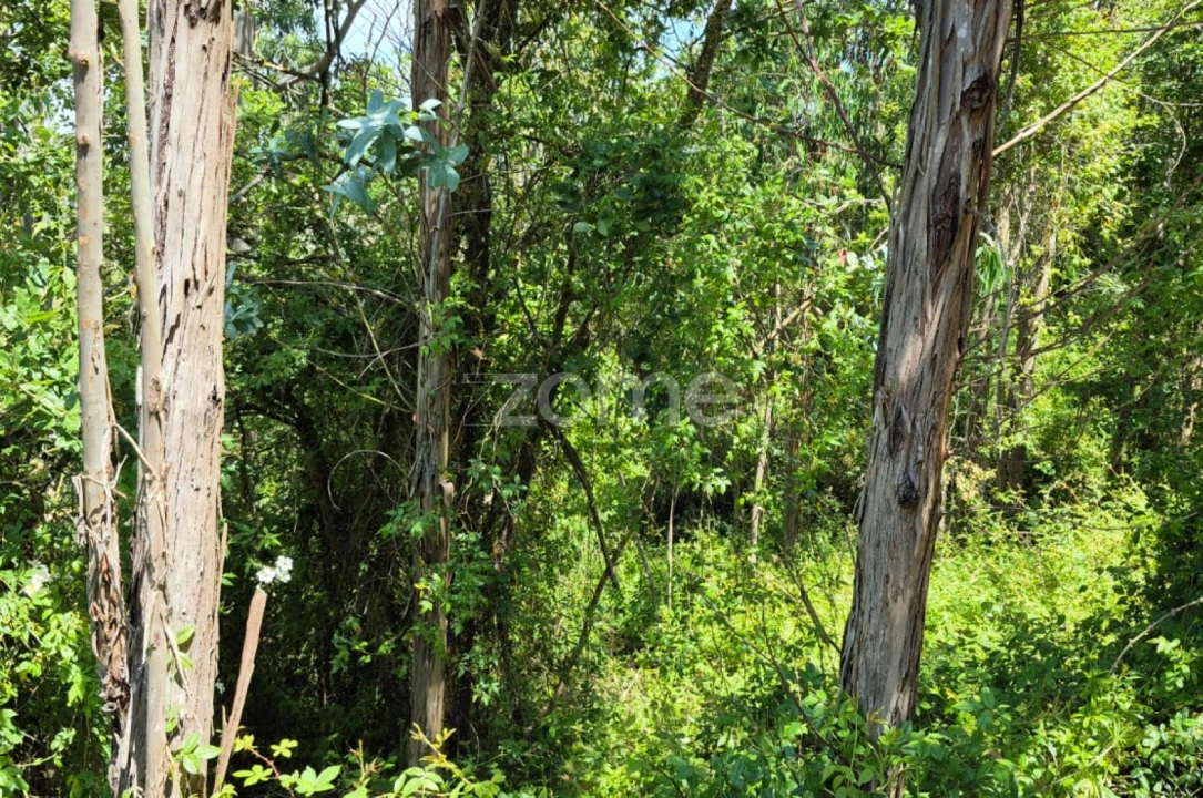 Terreno para Venda em Meca Foto 13