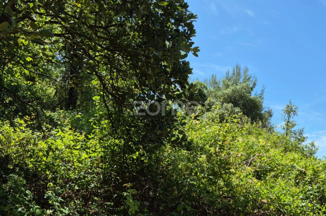 Terreno para Venda em Meca Foto 8