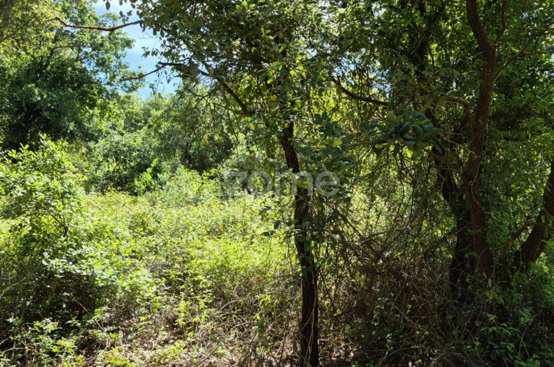 Terreno para Venda em Meca Foto 12